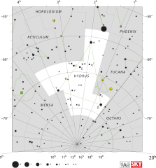 Kleine Wasserschlange